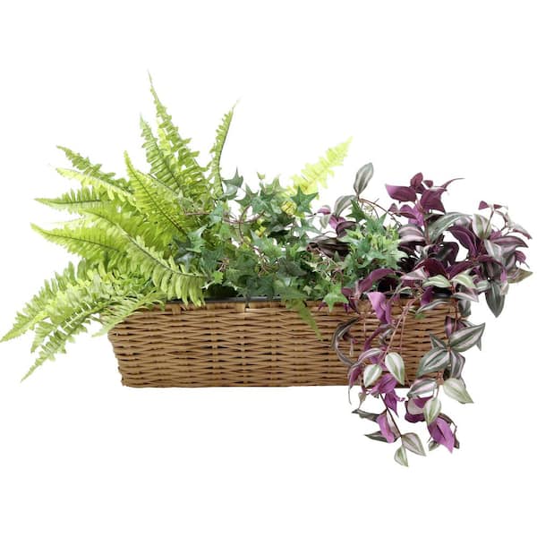 Sunnydaze Sunnydaze Hanging Rectangle Polyrattan Rail Planter with Plastic Liner - Brown