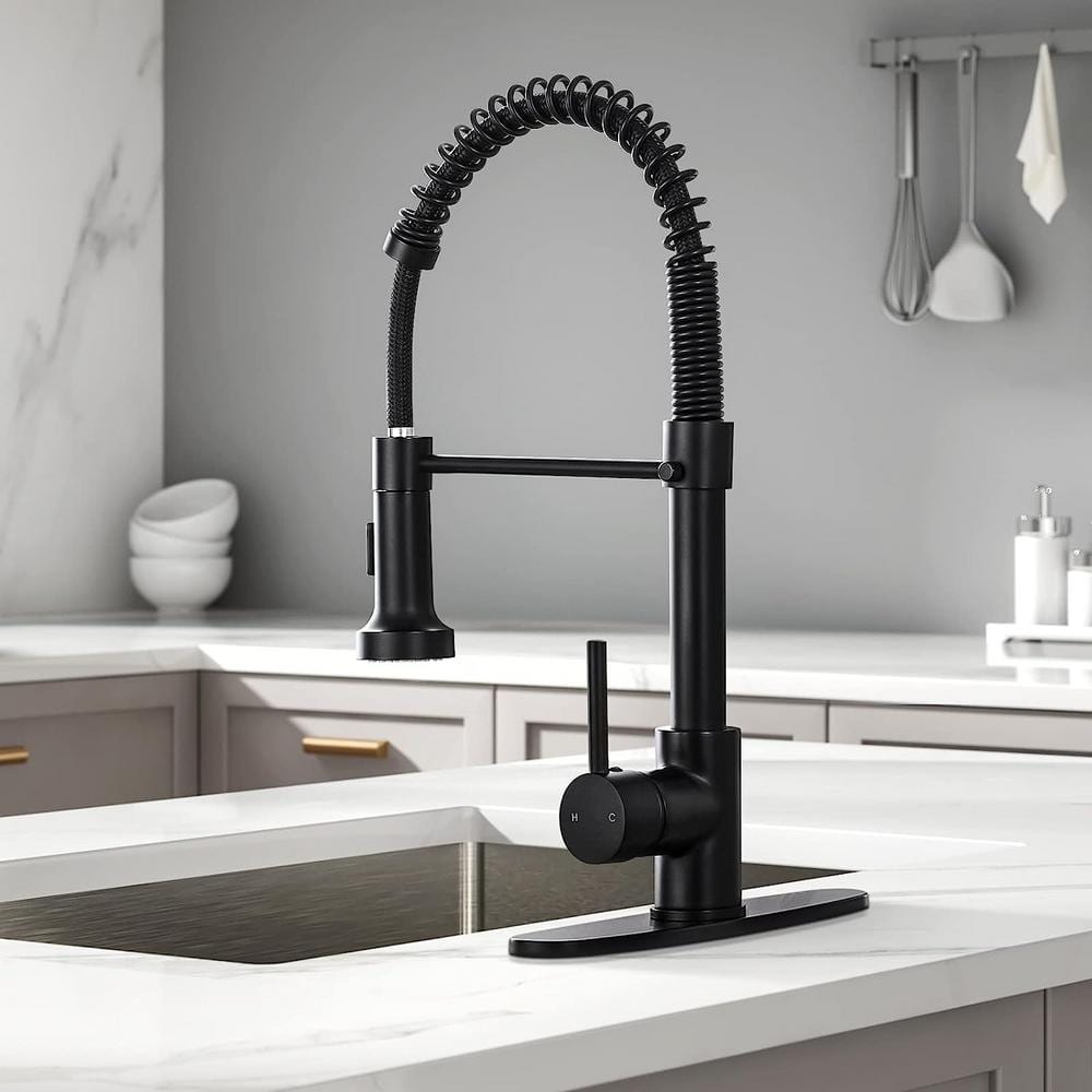 Matte Black Stainless Steel Pull-Down Kitchen Faucet with Spray