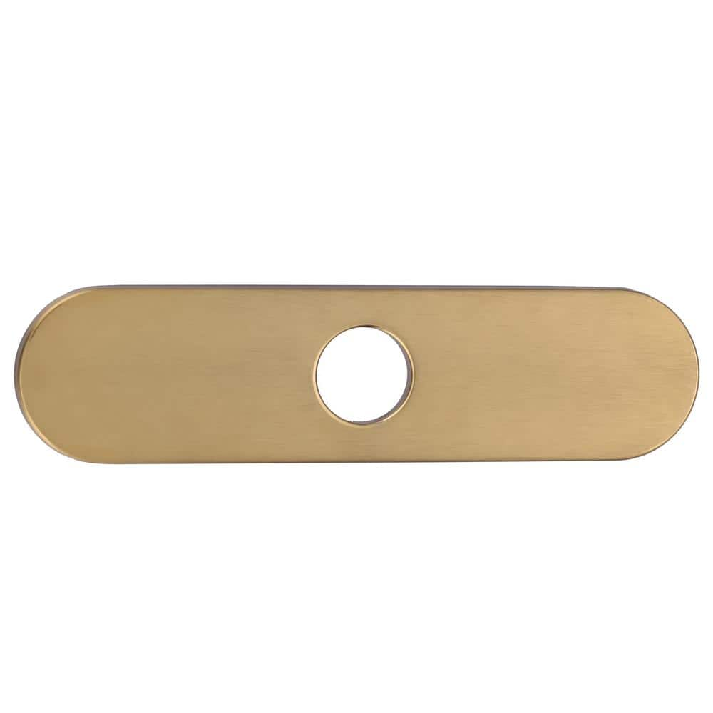 ALEASHA 10 in. Stainless Steel Escutcheon Plate in Gold