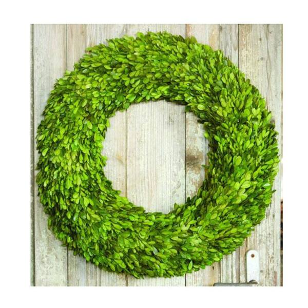 Unbranded 12 in. dia. Preserved Boxwood Wreath in Green