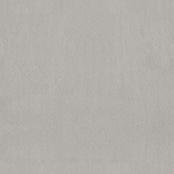 Dreamy Daze I Willow Mist Green 56 oz. Nylon Texture Carpet - Installation Required