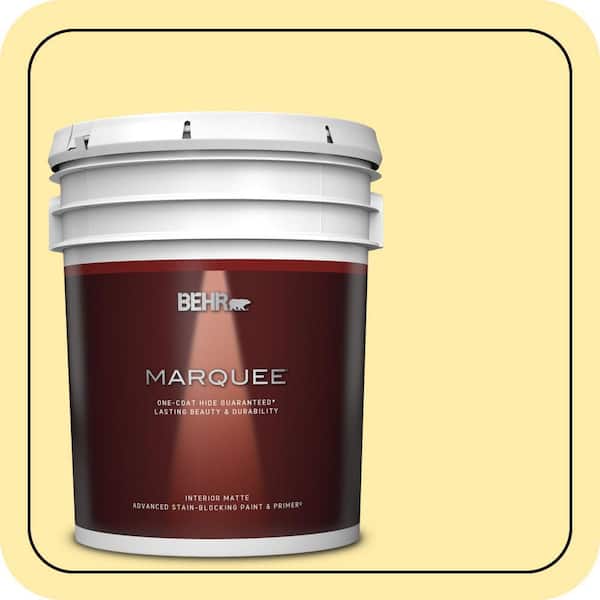 BEHR MARQUEE 5 gal. #P300-3 Rite of Spring Matte Interior Paint & Primer