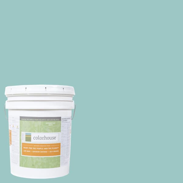 Colorhouse 5 gal. Dream .04 Flat Interior Paint