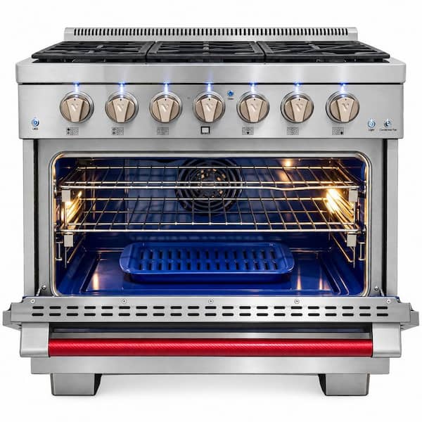 Randolph Pro 36 in. 6-Burner Natural Gas Range with Convection Oven and Infrared Broiler in Stainless Steel