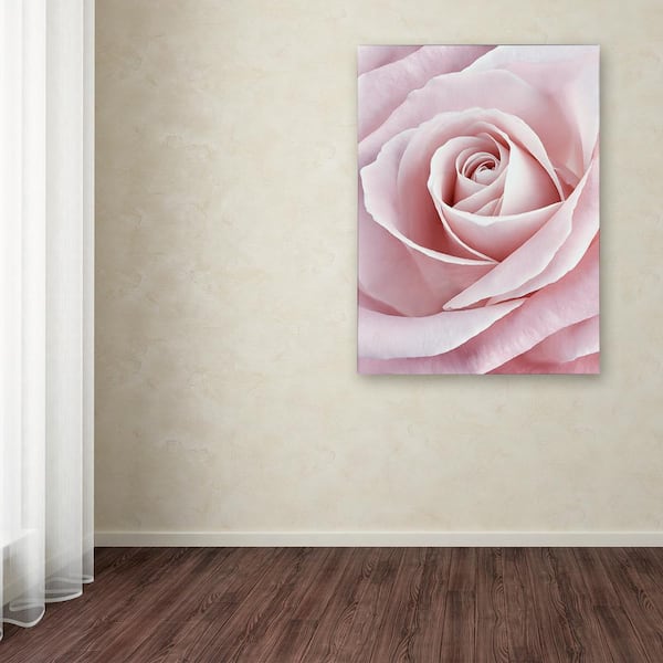 Trademark Fine Art 32 in. x 24 in. Pink Rose by Cora Niele Printed Canvas  Wall Art ALI1775-C2432GG - The Home Depot