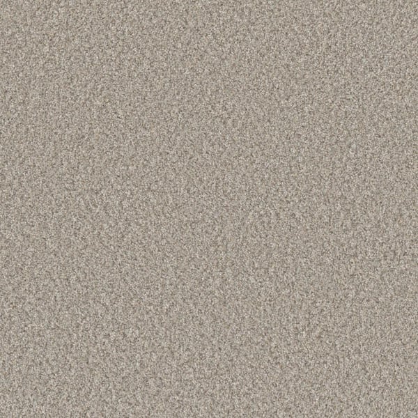 Gentle Glimmer III-Shine Gray-70 oz. SD Polyester Texture Installed Carpet