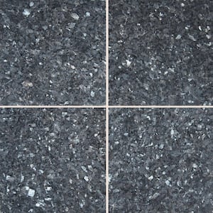 Blue Pearl 12 in. x 12 in. Polished Granite Wall Tile (10 sq. ft. / case)