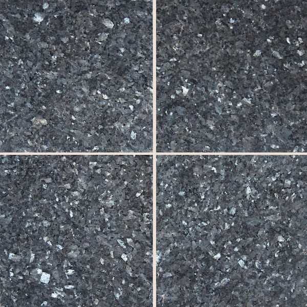 MSI Blue Pearl 12 in. x 12 in. Polished Granite Wall Tile (10 sq. ft. / case)