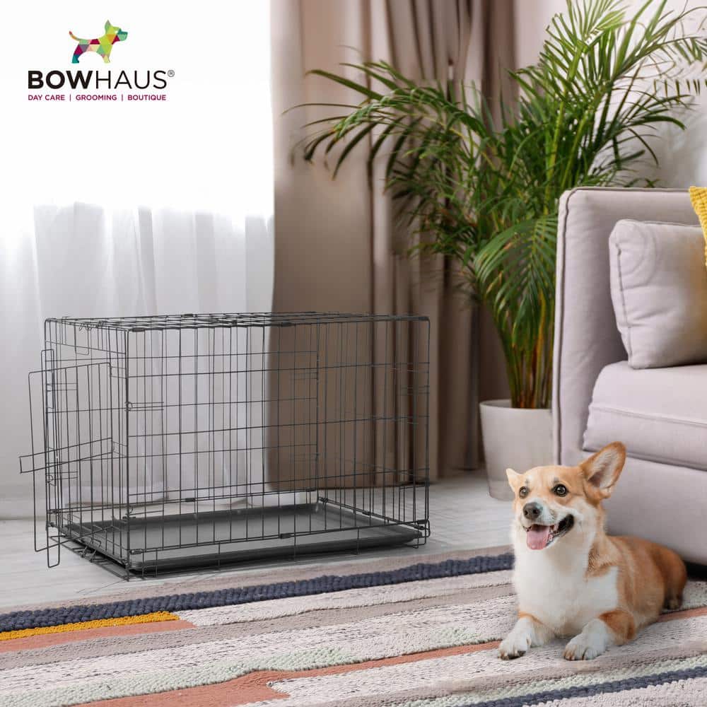Medium Black Metal Foldable Dog Cage with Lock