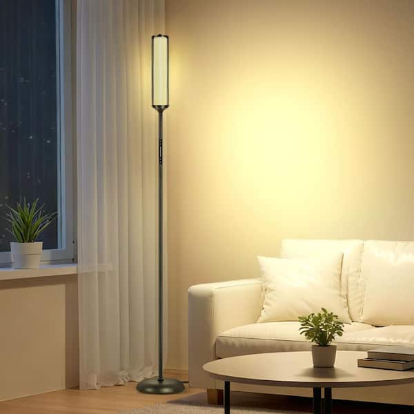 66 in. Black Integrated LED Net-like Ambient Light RGB Standard Floor Lamp with Bluetooth Control