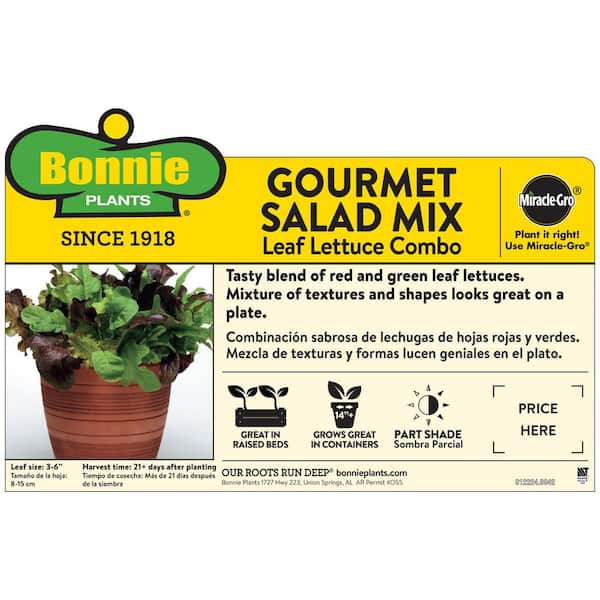 19 oz. Gourmet Salad Lettuce Plant Kit-Red, Light Green, Dark Green Lettuce Leaves, Smooth and Fluffed