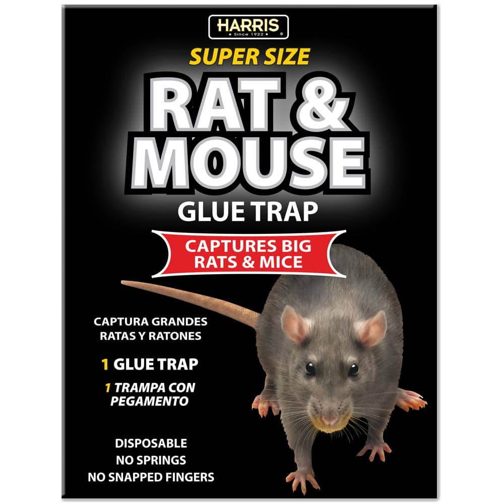 BLACK+DECKER Rat Traps Indoor & Rat Trap Outdoor- Mouse Traps Indoor for  Home Instantly Kill Chipmunk & Squirrel Trap- Touch Free & Reusable Rodent