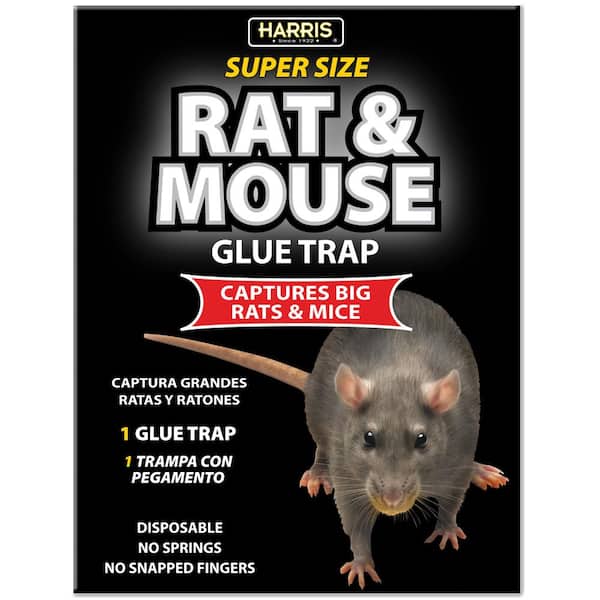 47inch Large Size Mice Mouse Rodent Outdoor Glue Traps Indoor Super Sticky  Rat