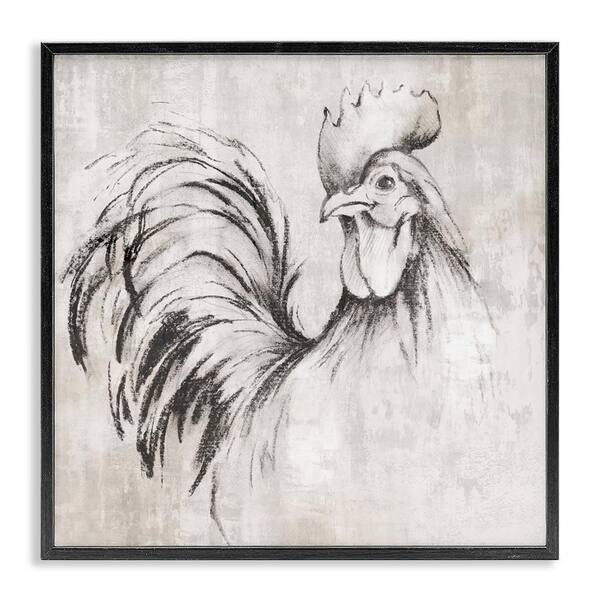 Stupell Industries Rooster Sketch Impression by Eli Jones Black Framed Animal Giclee Art Print 12 in. x 12 in.