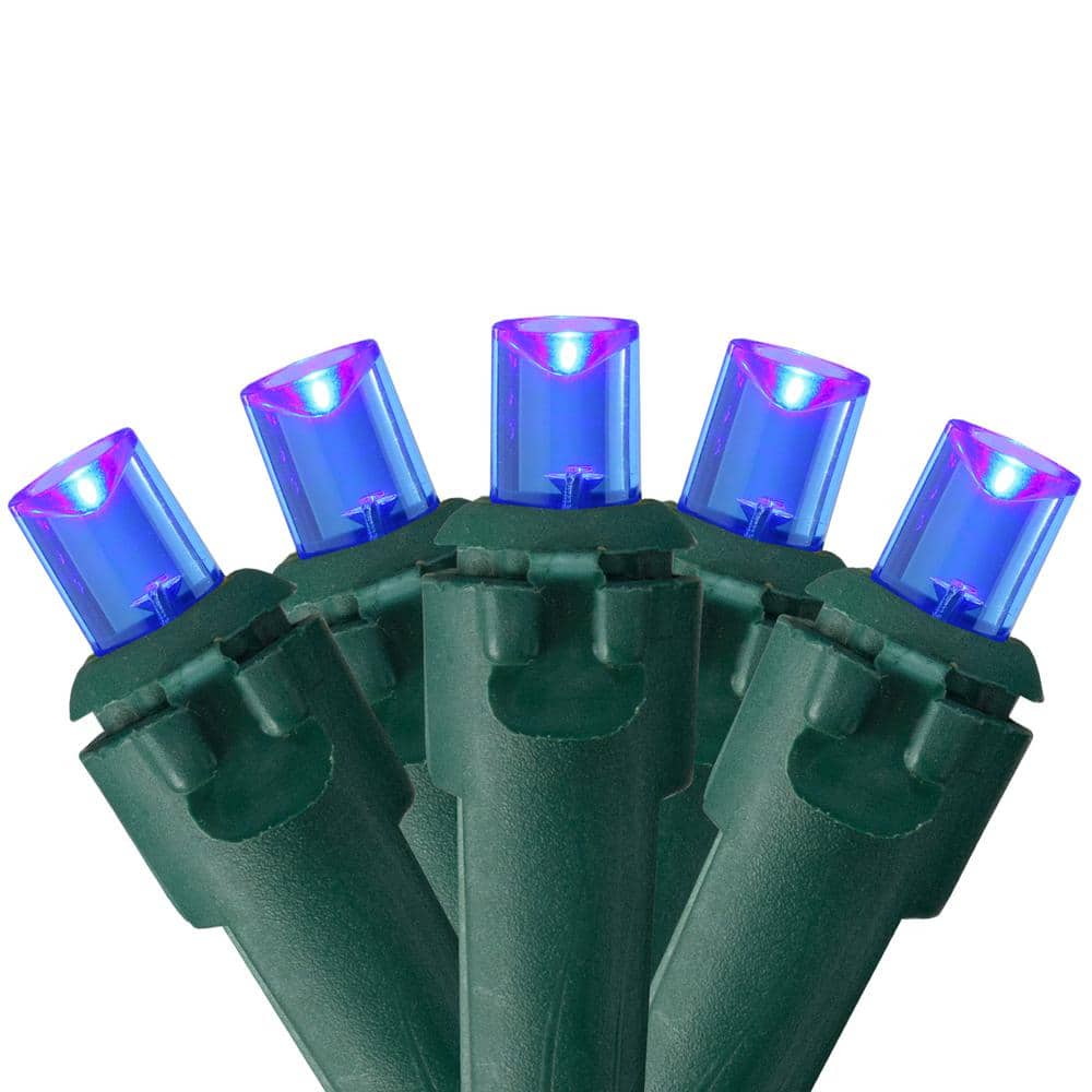 UPC 191296025522 product image for Set of 50 Blue LED Wide Angle Christmas Lights - Green Wire | upcitemdb.com