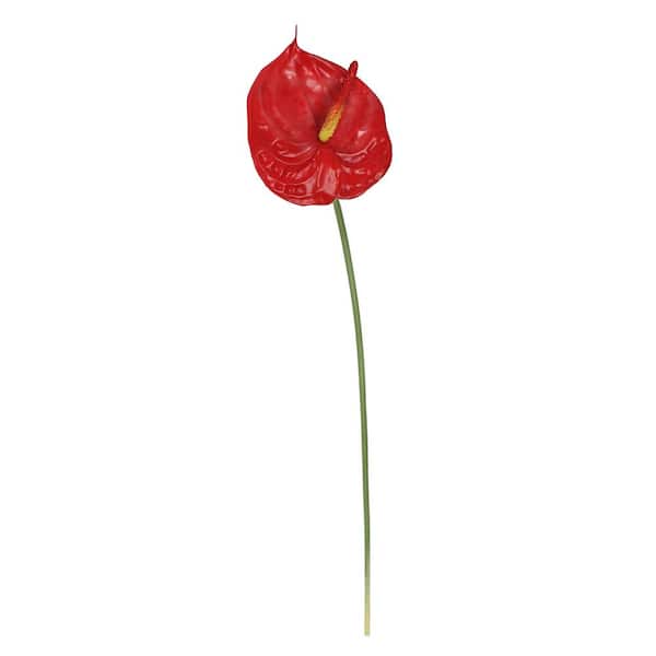 LIVING LUXURY 26 in. Real Touch Red Artificial Anthurium Flower Stem Tropical Spray (Set of 4)