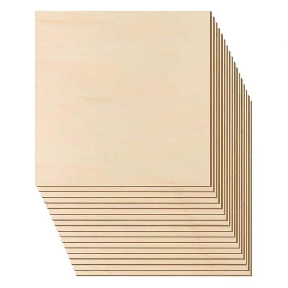 Long Lasting 0.125 in. x 1 ft. x 1 ft. A/A Basswood Sheathing Plywood 24-Pack price history on PriceWatchPro
