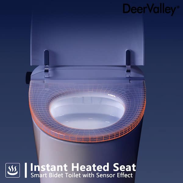 Have a question about DEERVALLEY 10 in. Rough-In Tankless