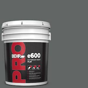 5 gal. #BXC-41 Charcoal Flat Exterior Paint