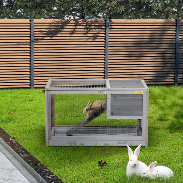 Outdoor 2024 rabbit area