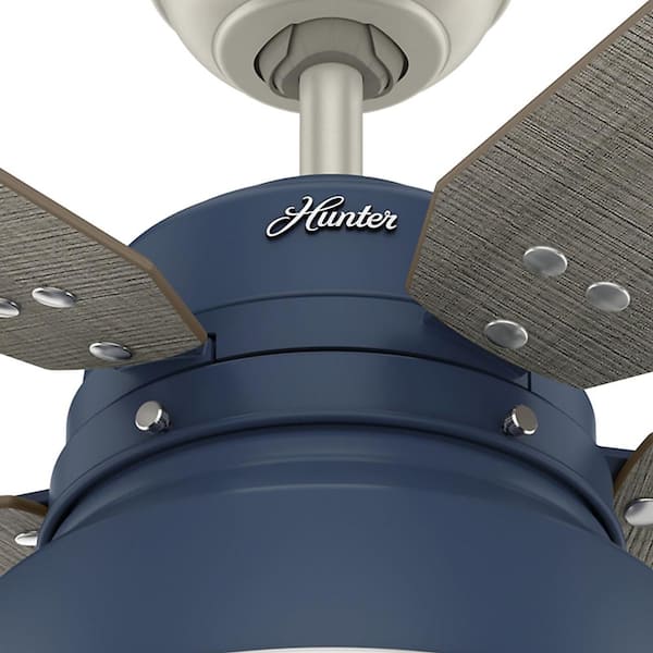 Hunter Mill Valley 52 in. LED Indoor/Outdoor Indigo Blue Ceiling 