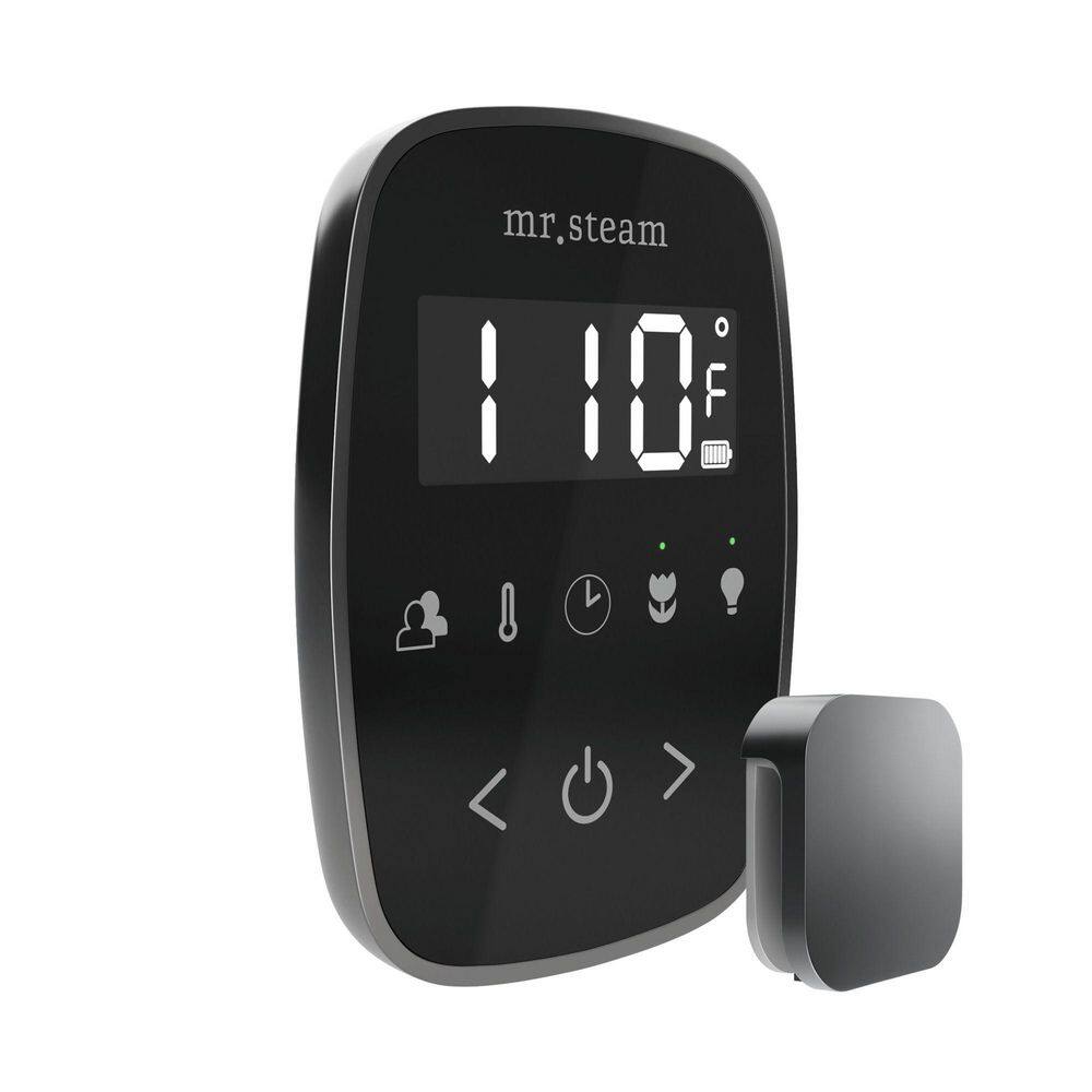 TempoFlex Steam Shower Control and Steamhead in Black Satin Steel price history on PriceWatchPro