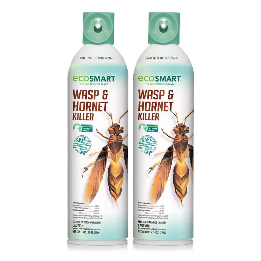 EcoSmart 14 oz. Natural Wasp and Hornet Killer with Plant-Based Essential  Oils, Aerosol Spray Can (2-Pack) ECSM-33529-01EC - The Home Depot