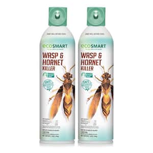 14 oz. Natural Wasp and Hornet Killer with Plant-Based Essential Oils, Aerosol Spray Can (2-Pack)