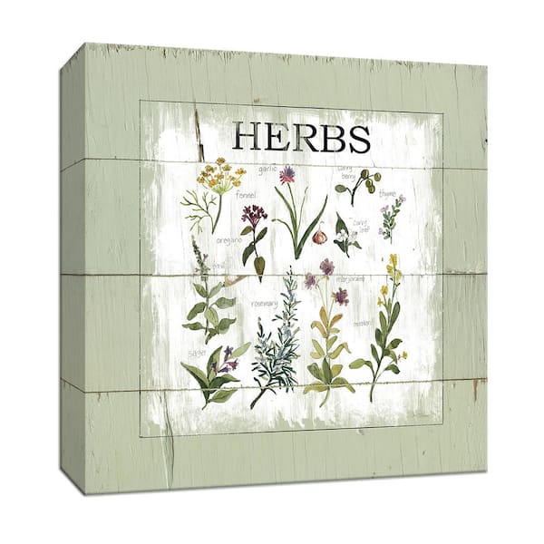 PTM Images 15 in. x 15 in. ''Shiplap Herbs'' By Canvas Wall Art