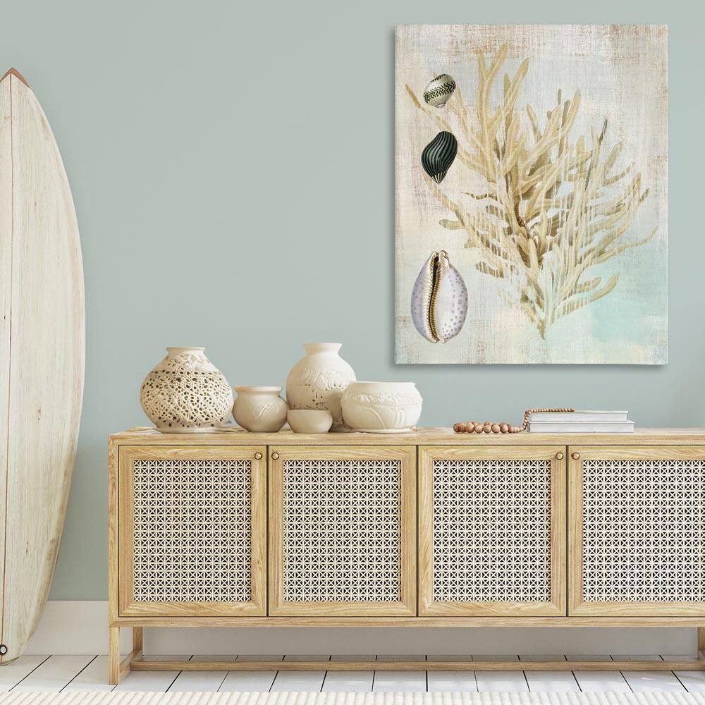 Coral Branch & Cowrie Shells by Susan Arnot Unframed Animal Graphic Art Print 48 in. x 36 in. price history on PriceWatchPro