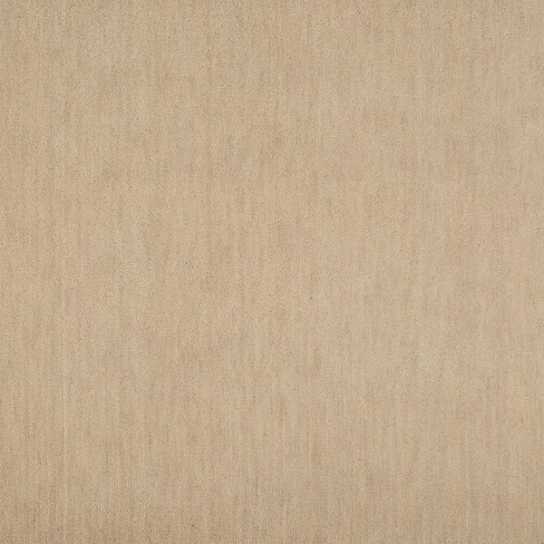 Natural Harmony 6 in. x 6 in. Texture Carpet Sample - Supreme - Color Shell