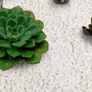 Piedra White 0.20 cu. ft. per Bag (0.2 in. ) Pea Gravel Pebbles Bagged Landscape Rock