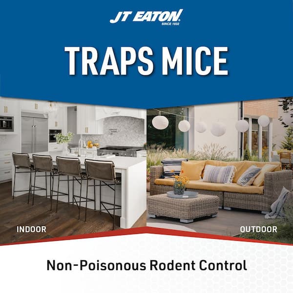 Stick-Em Insect and Mouse Size Glue Trap (96-Pack)
