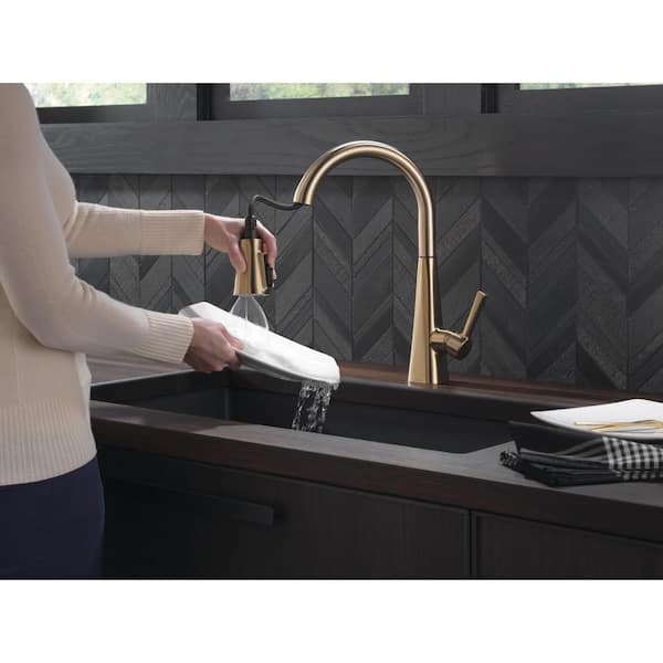 Lenta Gold Single-Handle Pull-Down Sprayer Kitchen Faucet with ShieldSpray Technology in Champagne Bronze