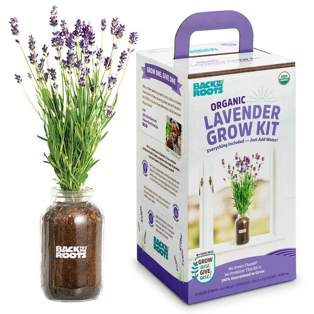 Back to the Roots Organic Lavender Grow Kit  4 Pieces