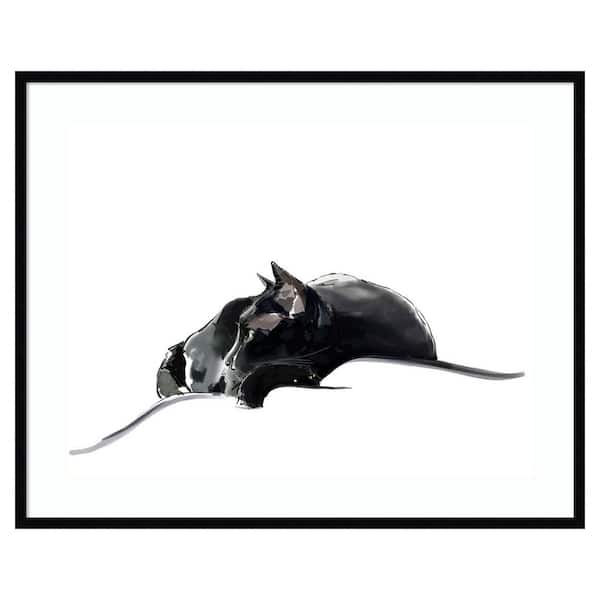 Amanti Art Asher III by Emily Kalina 1 Piece Framed Giclee Animal Art Print 33 in. x 41 in.