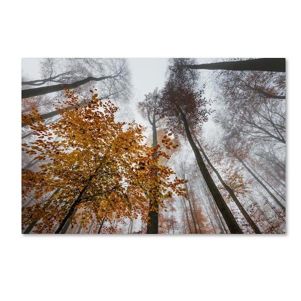 30 in. x 47 in. "Daydreamer" by Philippe Sainte-Laudy Printed Canvas Wall Art