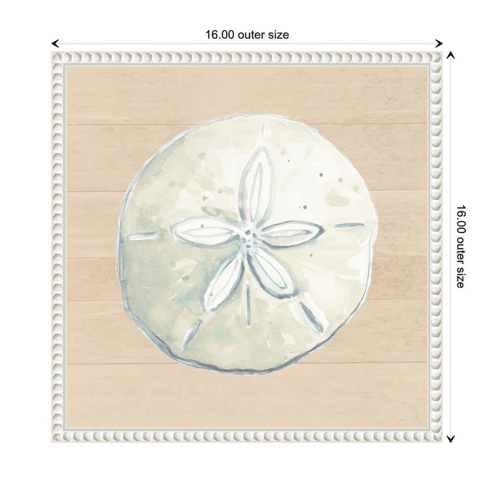 Beaded Frame Sand Dollar Print on Canvas Wall Art