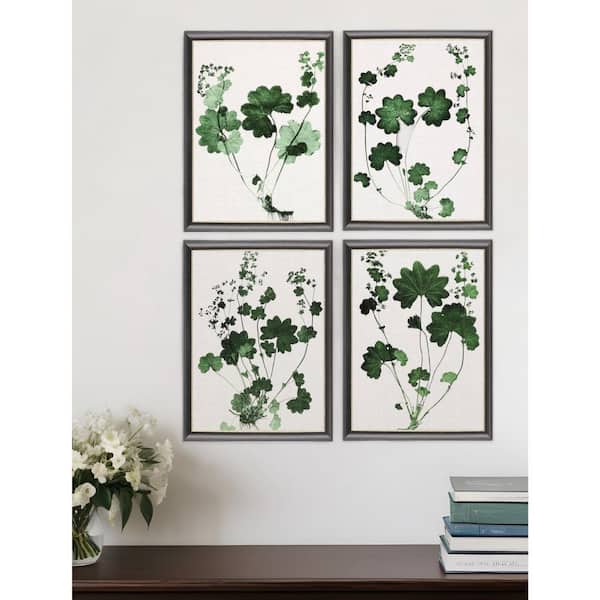 4 Piece Framed Graphic Print Plants and Flowers 26.00 in. x 20.00 in.