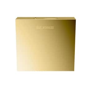 Replacement AromaSteam Square 3 in. Steam Head in Polished Brass for iTempo/iTempo Plus