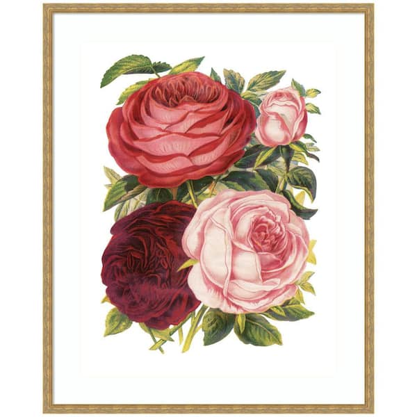 Mila "Victorian Flowers" by The Creative Bunch Studio Flowers Framed Art Print 42 in. x 34 in.