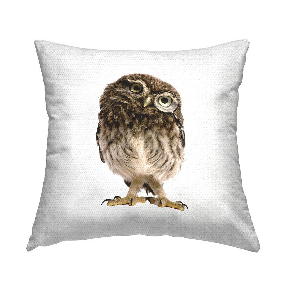 Owl Tilting Head Portrait Brown Square Outdoor Throw Pillow price history on PriceWatchPro