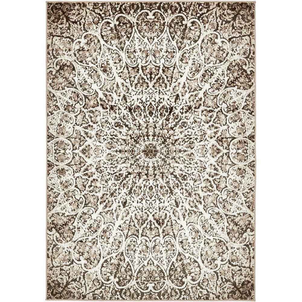 Sofia Grace Brown 4' 0 x 6' 0 Area Rug price history on PriceWatchPro
