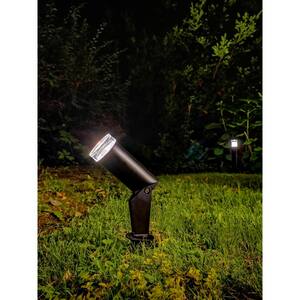 Luvia Low Voltage Black LED Landscape Spotlight Kit with Transformer (Set of 6)