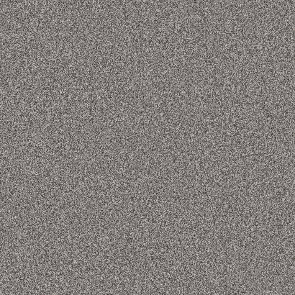 8 in. x 8 in. Texture Carpet Sample - Piece of Cake - Color Foggy Night price history on PriceWatchPro