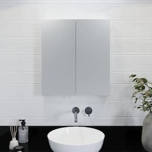 Finchley 24 in. W x 26 in. H 2-Door Silver Stainless Steel Surface Mount Medicine Cabinet with Mirror