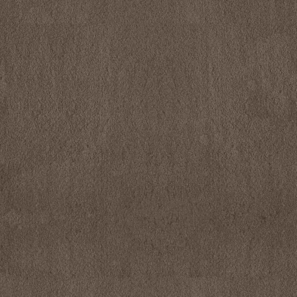 8 in. x 8 in. Texture Carpet Sample-Dreamy Daze II-Color Basket Weave price history on PriceWatchPro