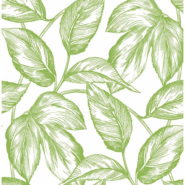 37280-3 ( 372803 ) Greenery Wallpaper by A S Creation Wallpaper-daiichi.edu.vn