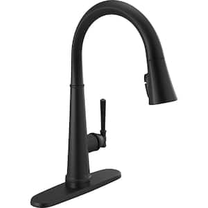Emmeline Single-Handle Pull-Down Sprayer Kitchen Faucet with Touch2O and ShieldSpray in Matte Black