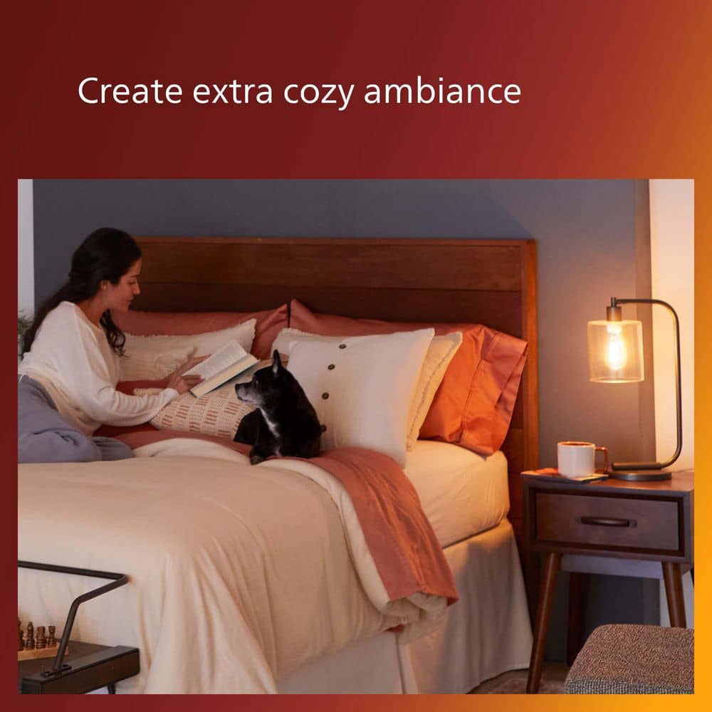 Clear Spiral Filament Dimmable Vintage LED Light Bulb